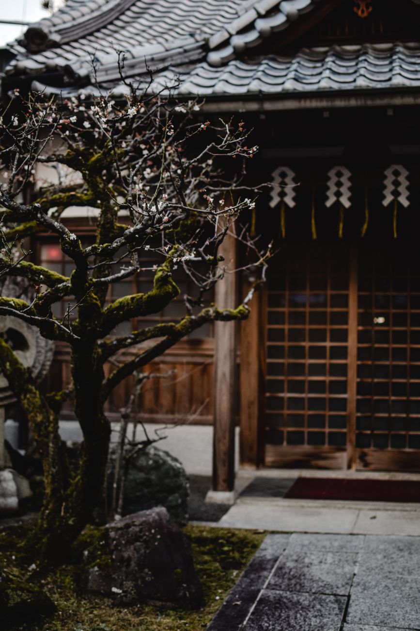 Detail of moss and gravel in Japanese temple garden