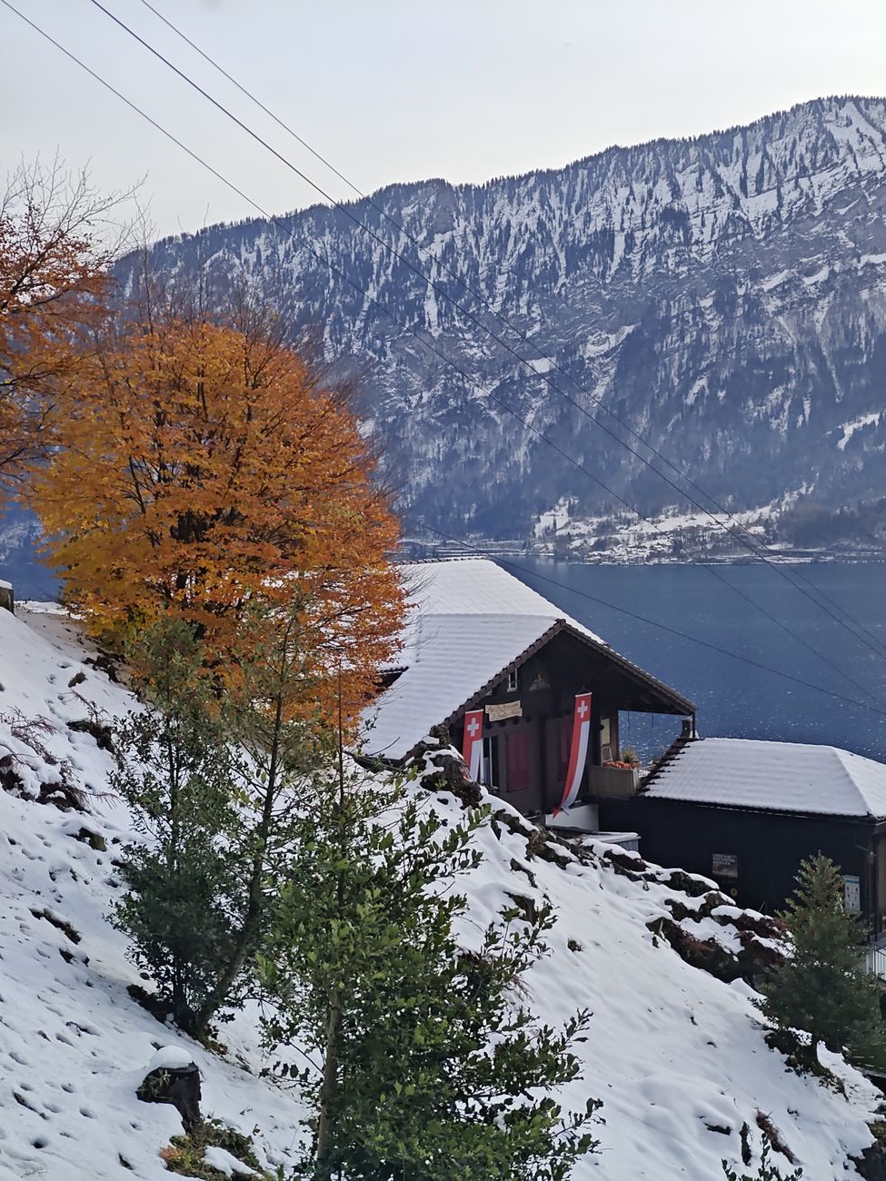 Interior timber chalet lounge with mountain view